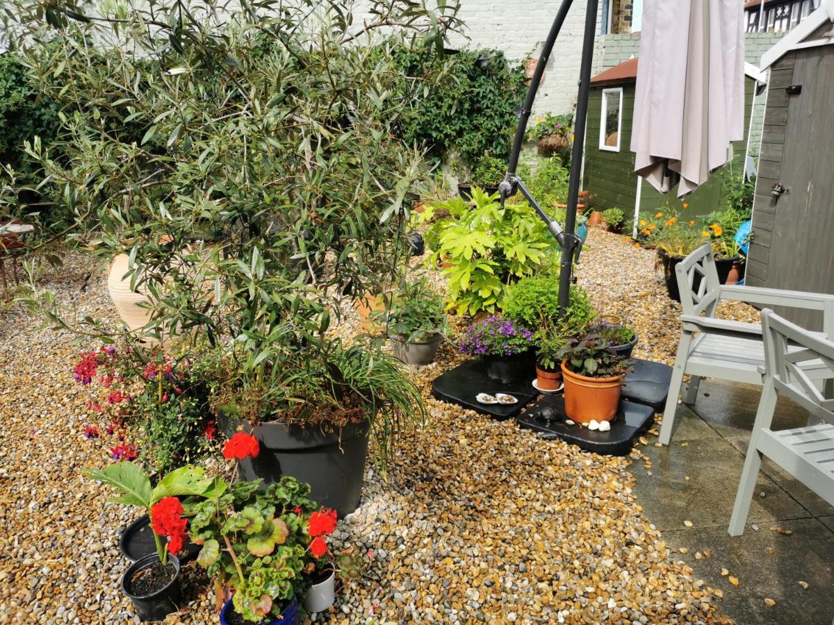 Bed & Breakfast Rosslyn Court *